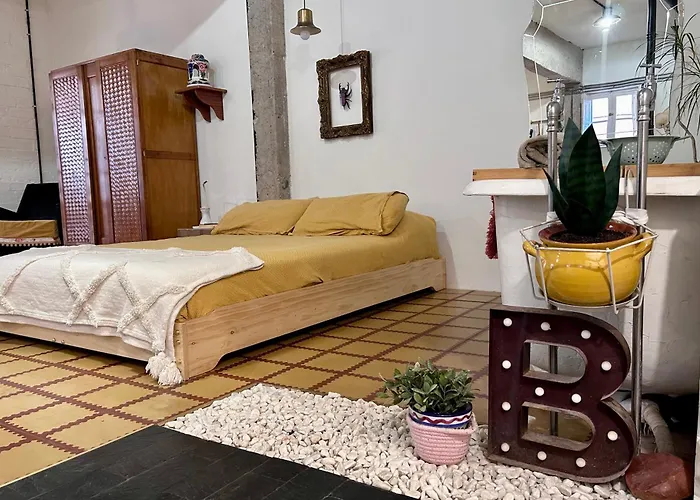 Loft Con Patio En La Zona De Tapas Pet Friendly