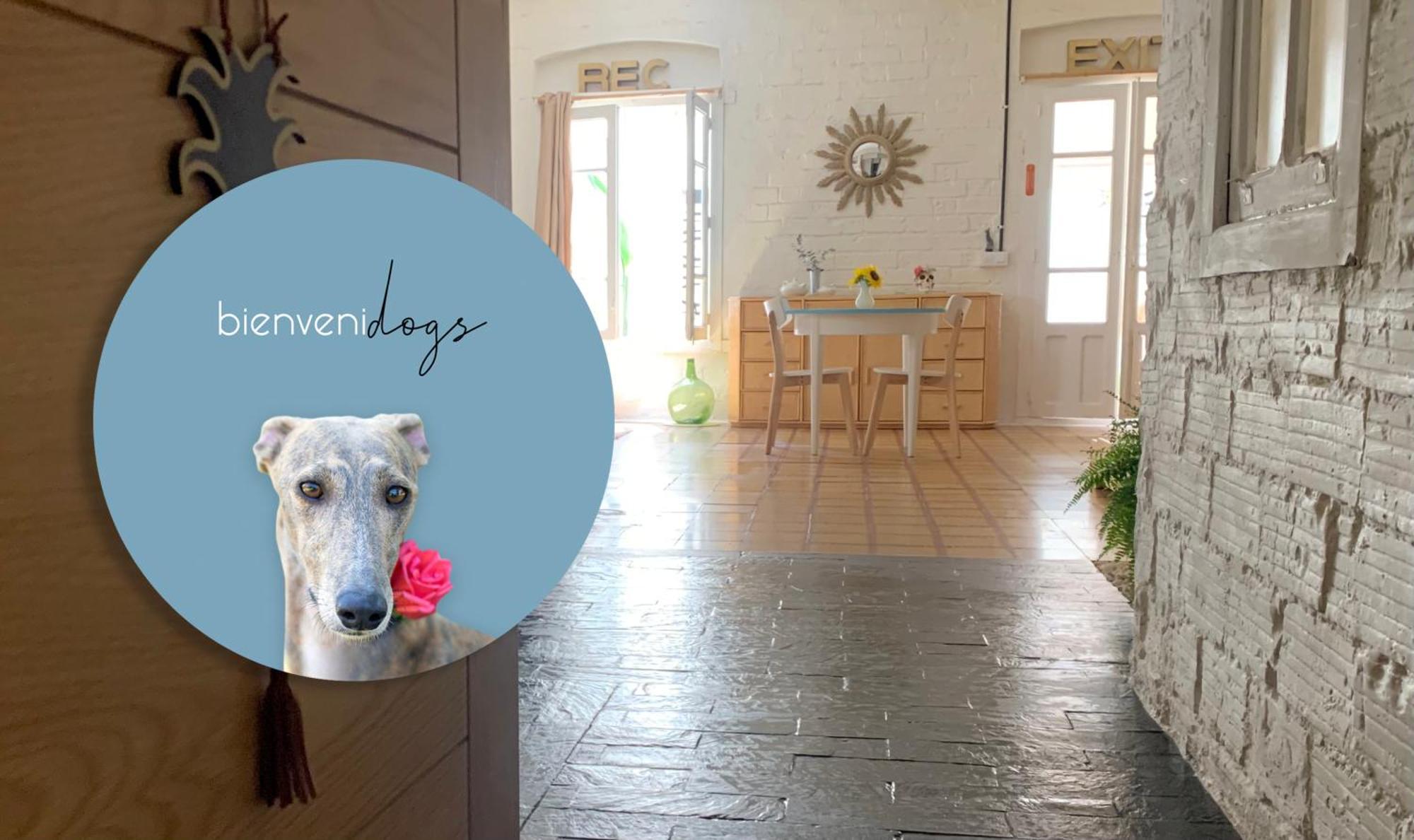 Apartment Loft Con Patio En La Zona De Tapas Pet Friendly Logrono